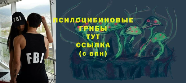 гашик Балахна