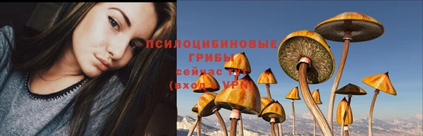 гашик Балахна