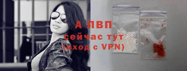гашик Балахна