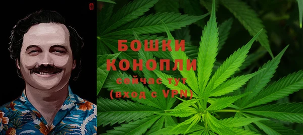 гашик Балахна